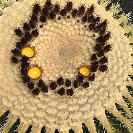 El Caserio De Gueime Con Piscina Climatizada Country house *